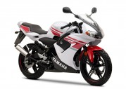 Yamaha TZR50